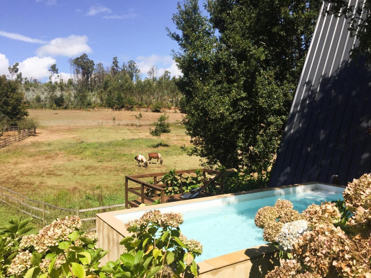 Vale Da Silva Villas - Quinta البرغاريا-ا-فلهه المظهر الخارجي الصورة