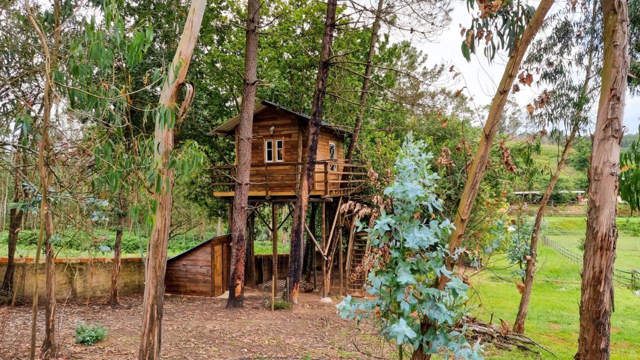 Vale Da Silva Villas - Quinta البرغاريا-ا-فلهه المظهر الخارجي الصورة
